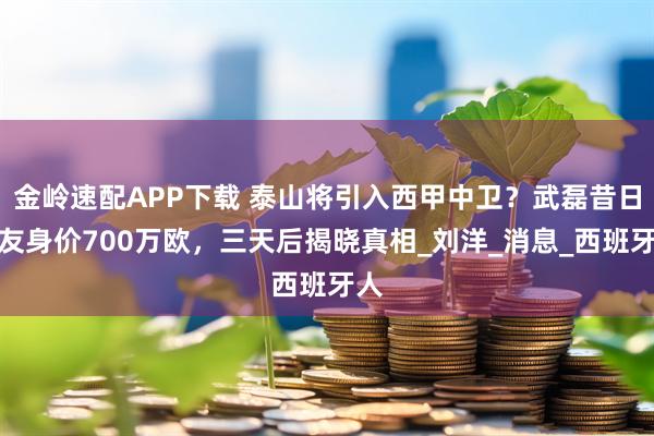 金岭速配APP下载 泰山将引入西甲中卫？武磊昔日队友身价700万欧，三天后揭晓真相_刘洋_消息_西班牙人