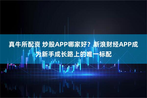 真牛所配资 炒股APP哪家好？新浪财经APP成为新手成长路上的唯一标配
