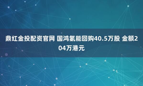 鼎红金投配资官网 国鸿氢能回购40.5万股 金额204万港元