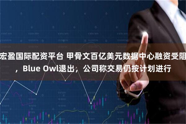宏盈国际配资平台 甲骨文百亿美元数据中心融资受阻，Blue Owl退出，公司称交易仍按计划进行