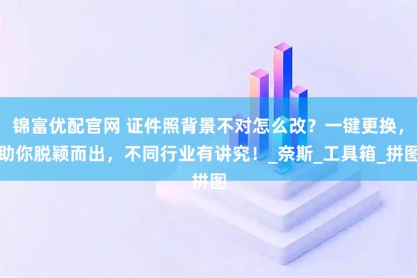 锦富优配官网 证件照背景不对怎么改？一键更换，助你脱颖而出，不同行业有讲究！_奈斯_工具箱_拼图