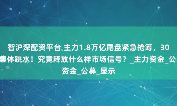 智沪深配资平台 主力1.8万亿尾盘紧急抢筹，3000股却集体跳水！究竟释放什么样市场信号？_主力资金_公募_显示
